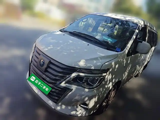 DONGFENG LINGZHI NEW ENERGY 2023