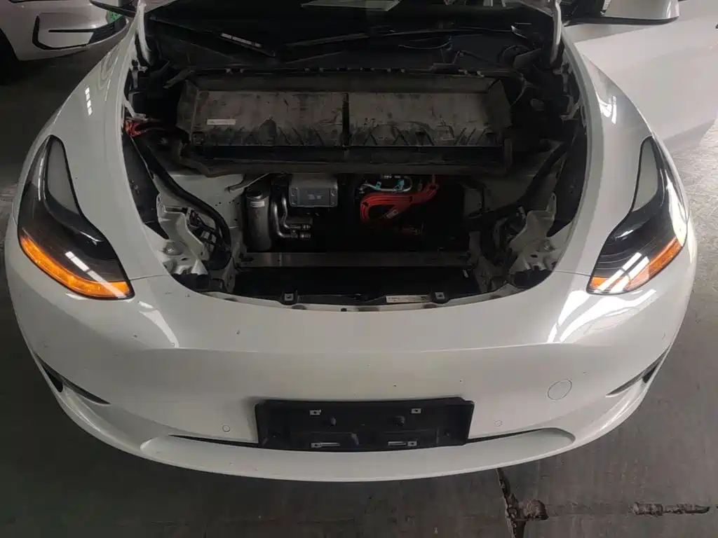 Tesla Model Y — миниатюра 20