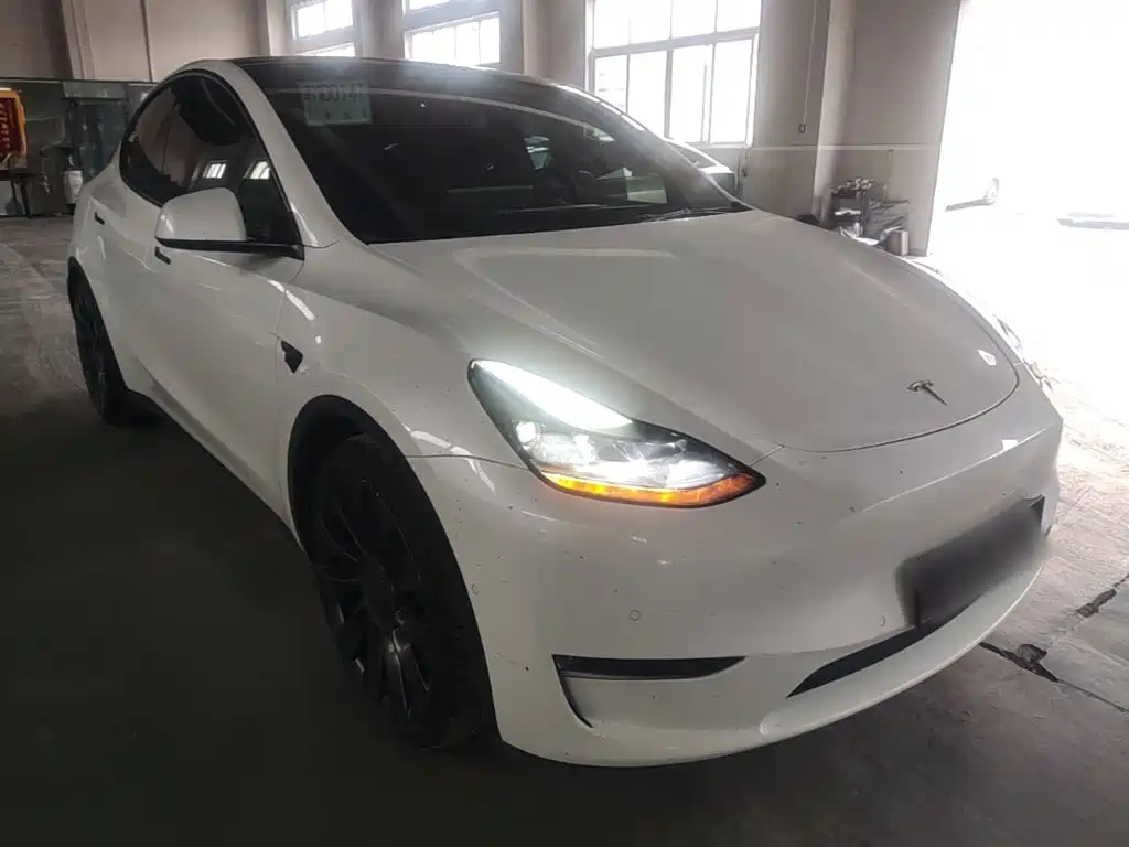 Tesla Model Y — миниатюра 4