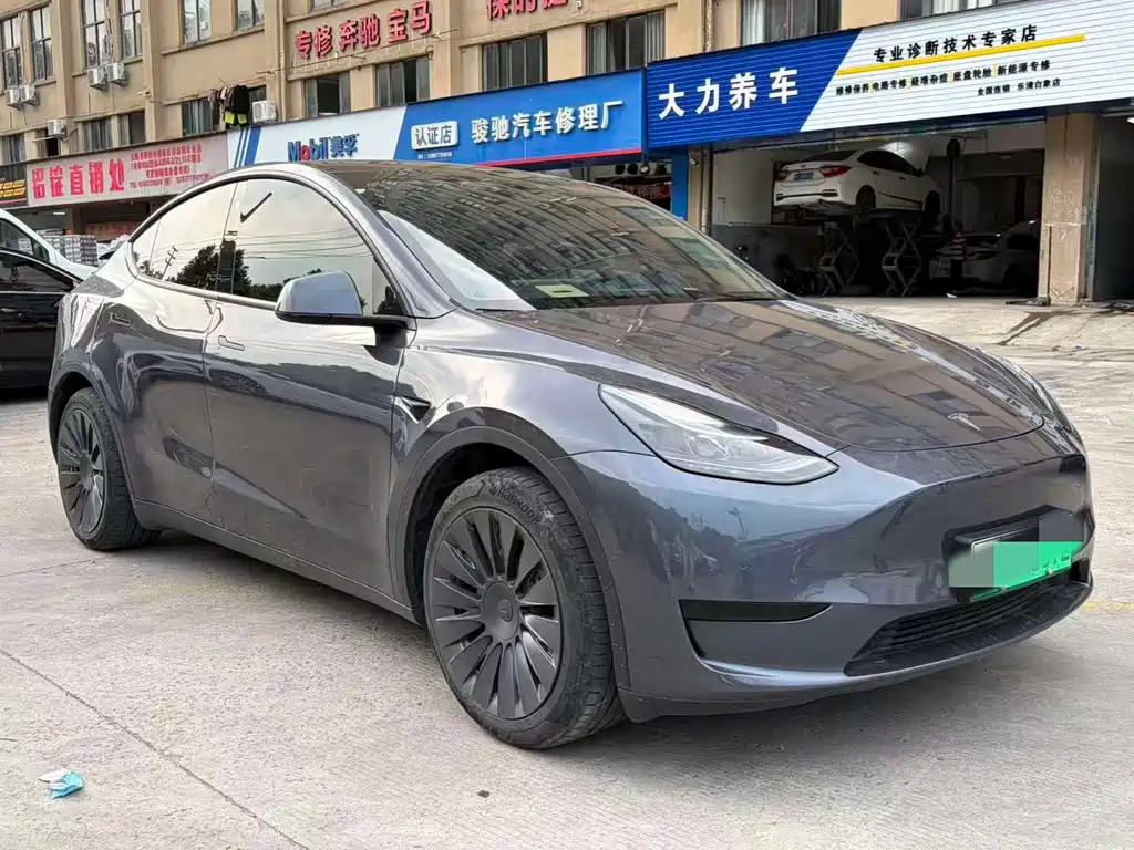 Tesla Model Y — миниатюра 3
