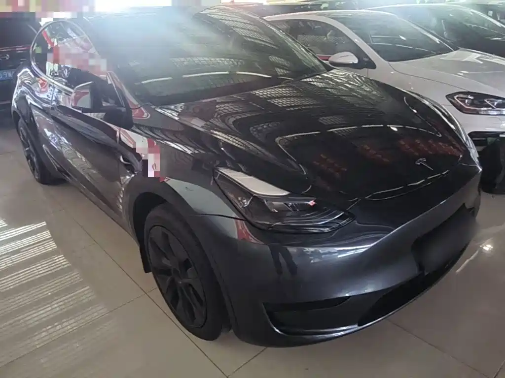 Tesla Model Y — миниатюра 4