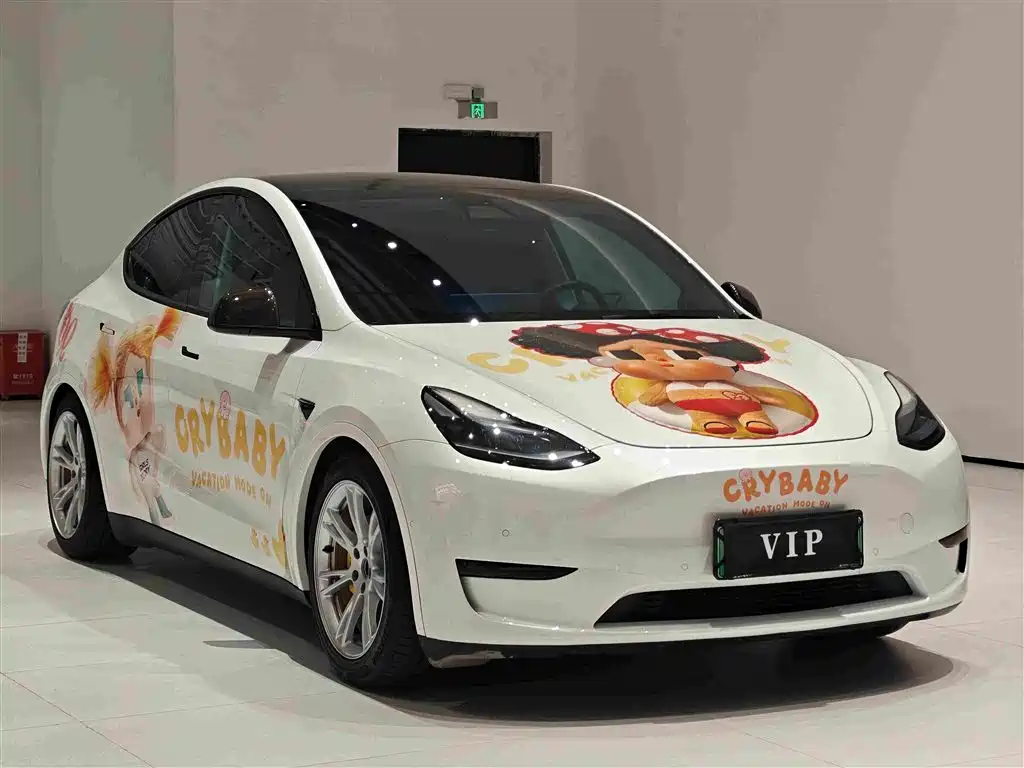 Tesla Model Y — миниатюра 2