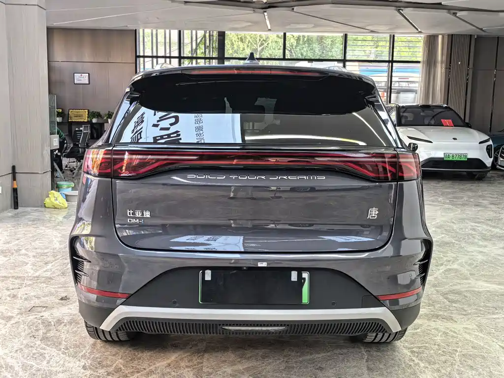 BYD Tang New Energy — миниатюра 6