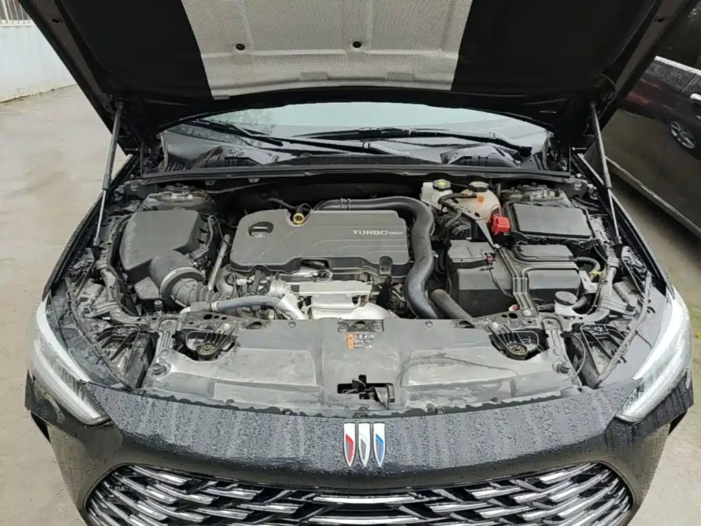 Buick Regal — миниатюра 20