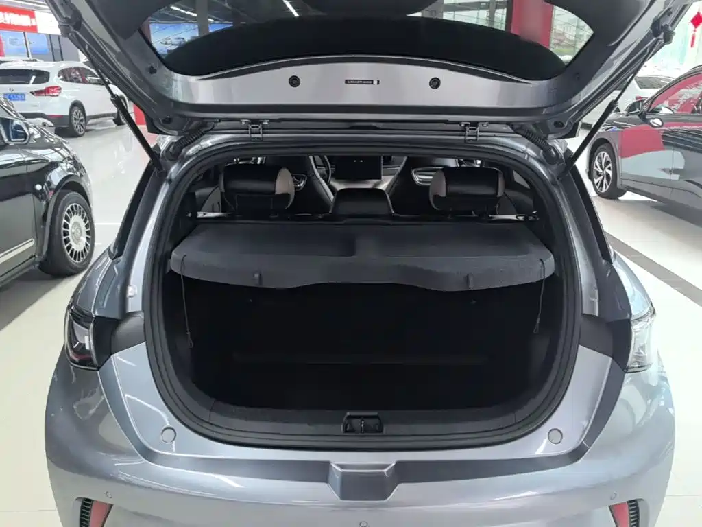 BYD Dolphin — миниатюра 19