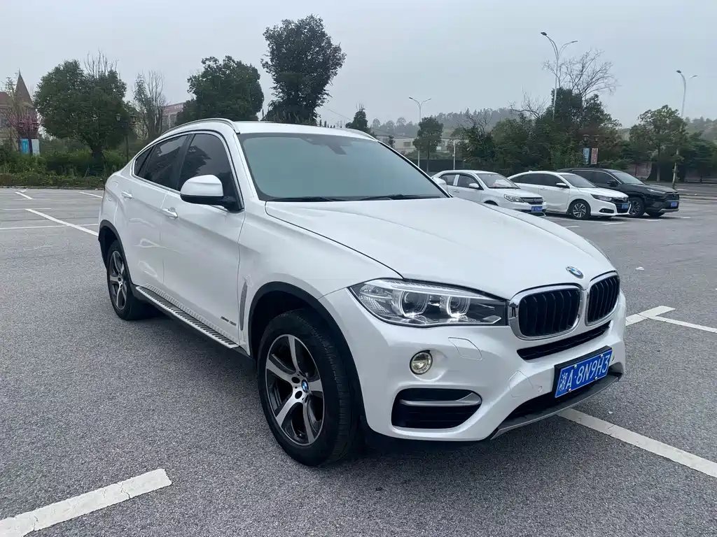 BMW X6 — миниатюра 2
