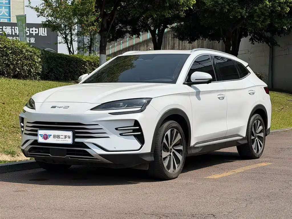 Byd PLUS New Energy 2024