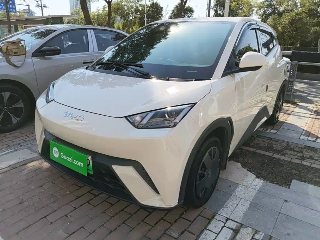 BYD Seagull