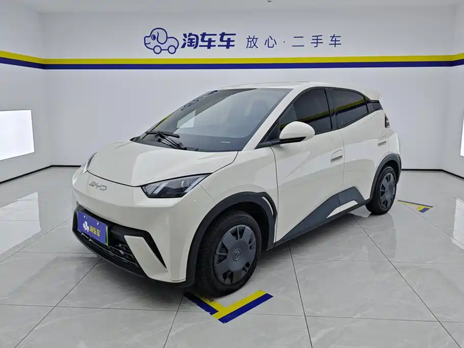 BYD Seagull