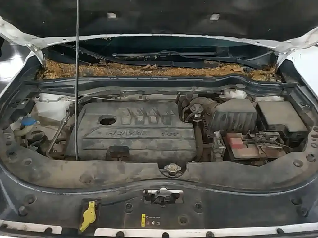 Haval M6 — миниатюра 20