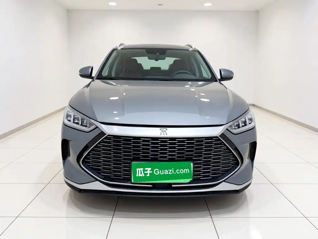 BYD PLUS New Energy — миниатюра 2