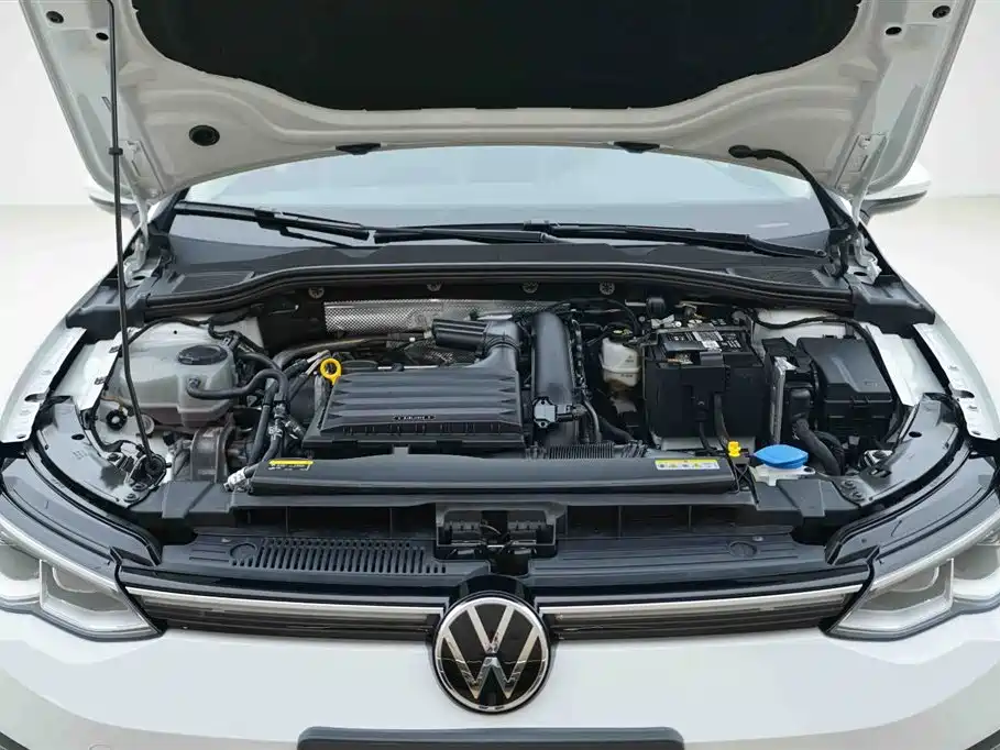 Volkswagen Golf 2021 280TSI DSG Pro