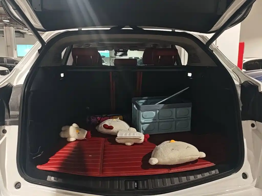 Alfa Romeo Stelvio — миниатюра 19