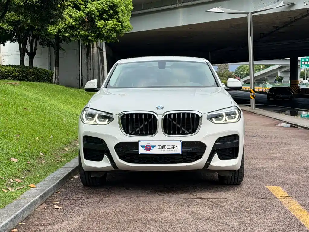 BMW X4 — миниатюра 2