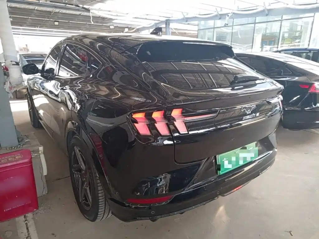 Ford Mustang Mach-E — миниатюра 5