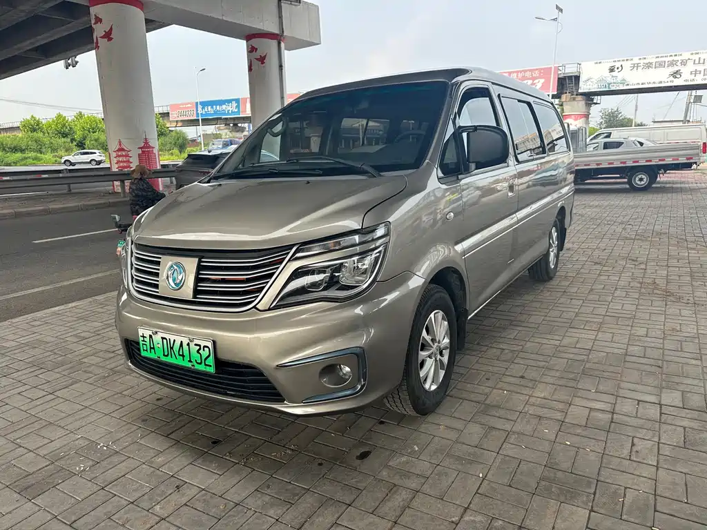 Fengxing Lingzhi New Energy