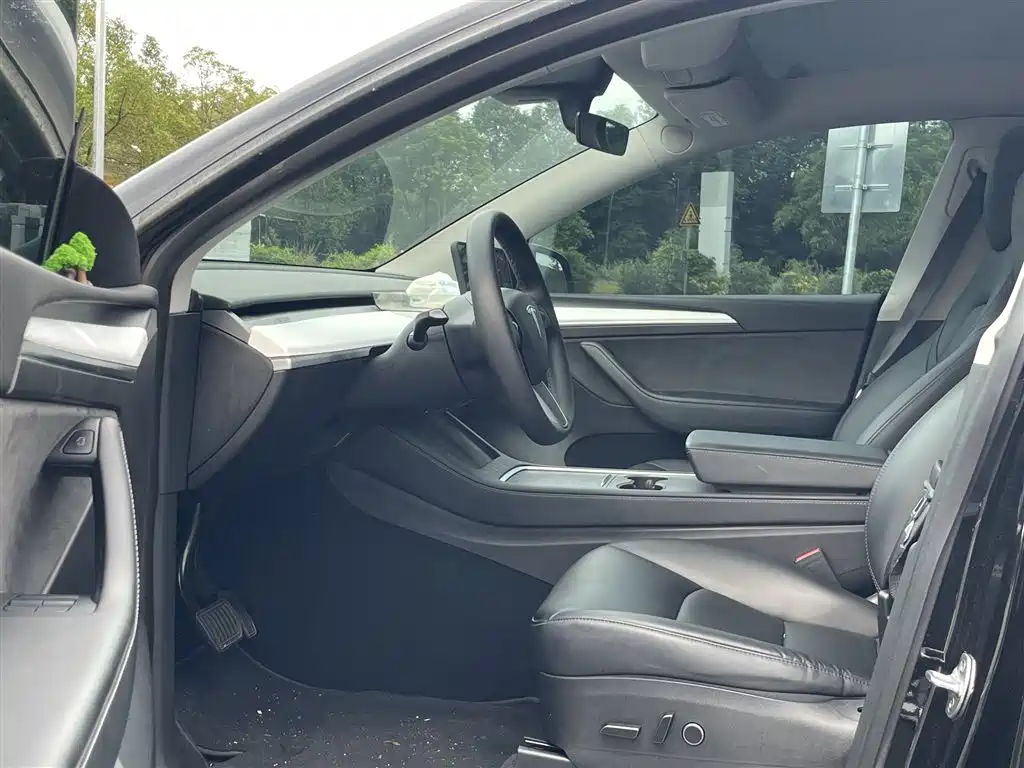 Tesla Model Y — миниатюра 6