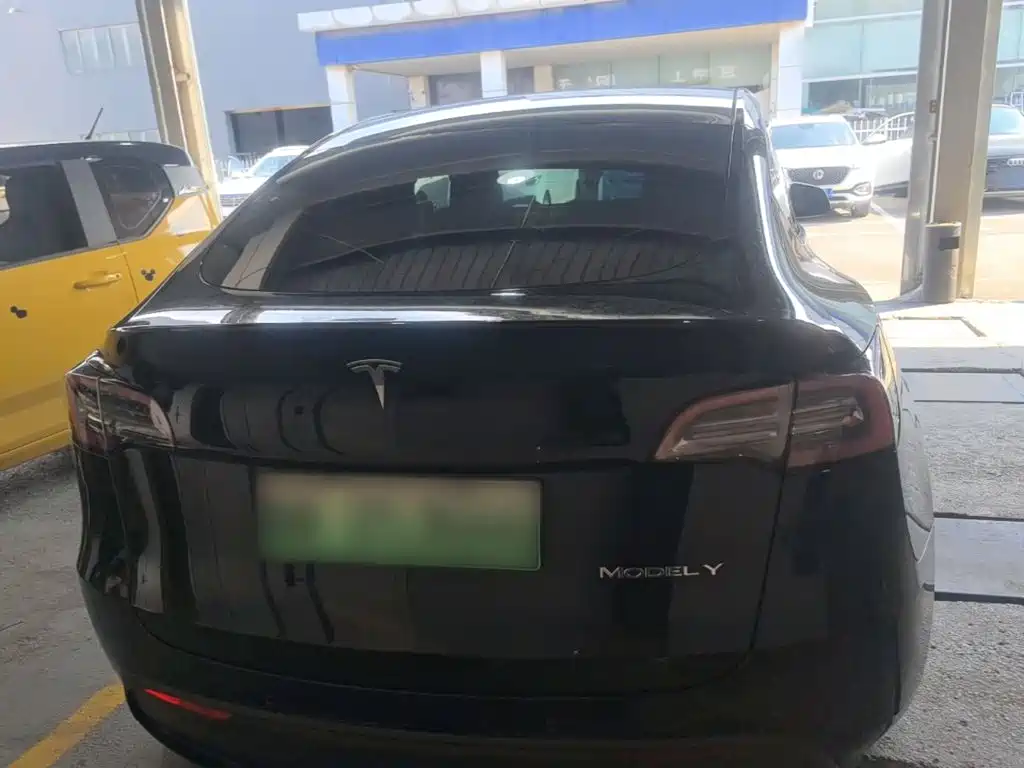 Tesla Model Y — миниатюра 6