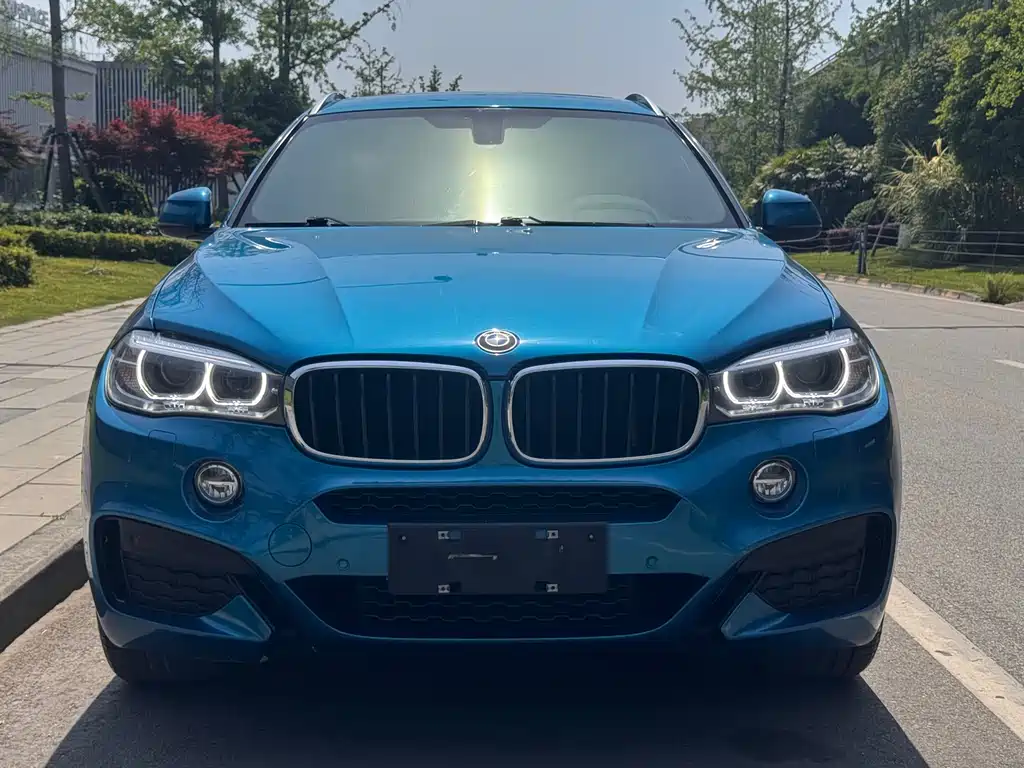 BMW X6 2018 xDrive35i Lead