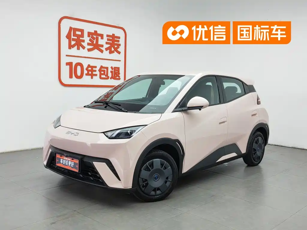 2025 BYD Seagull - zdjęcie 1 z 24
