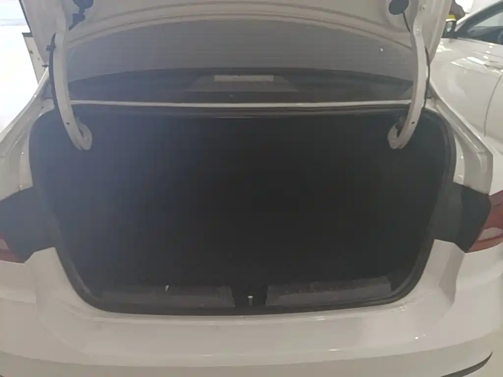 Jetta VA3 — миниатюра 19