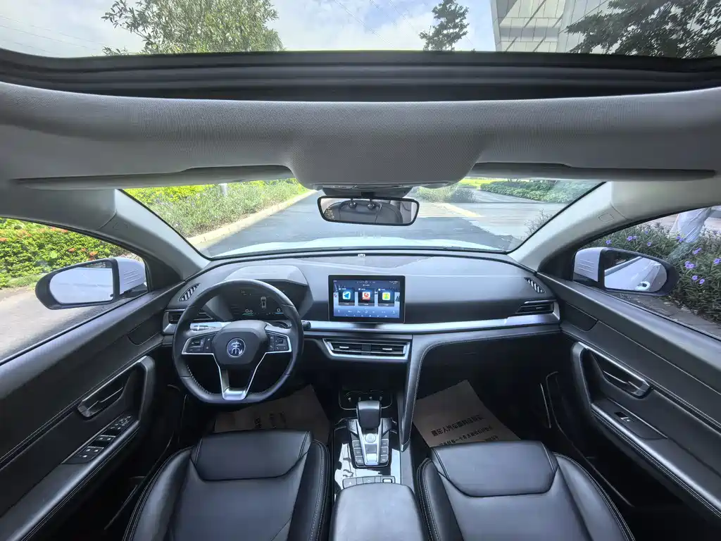 BYD Pro — миниатюра 6