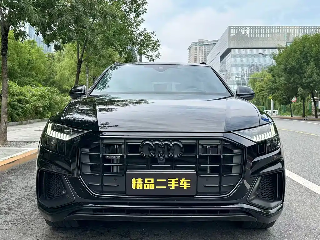 Audi Q8 — миниатюра 2