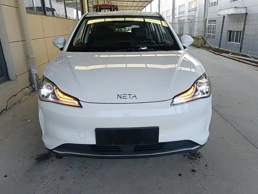 Neta Neta V — миниатюра 3