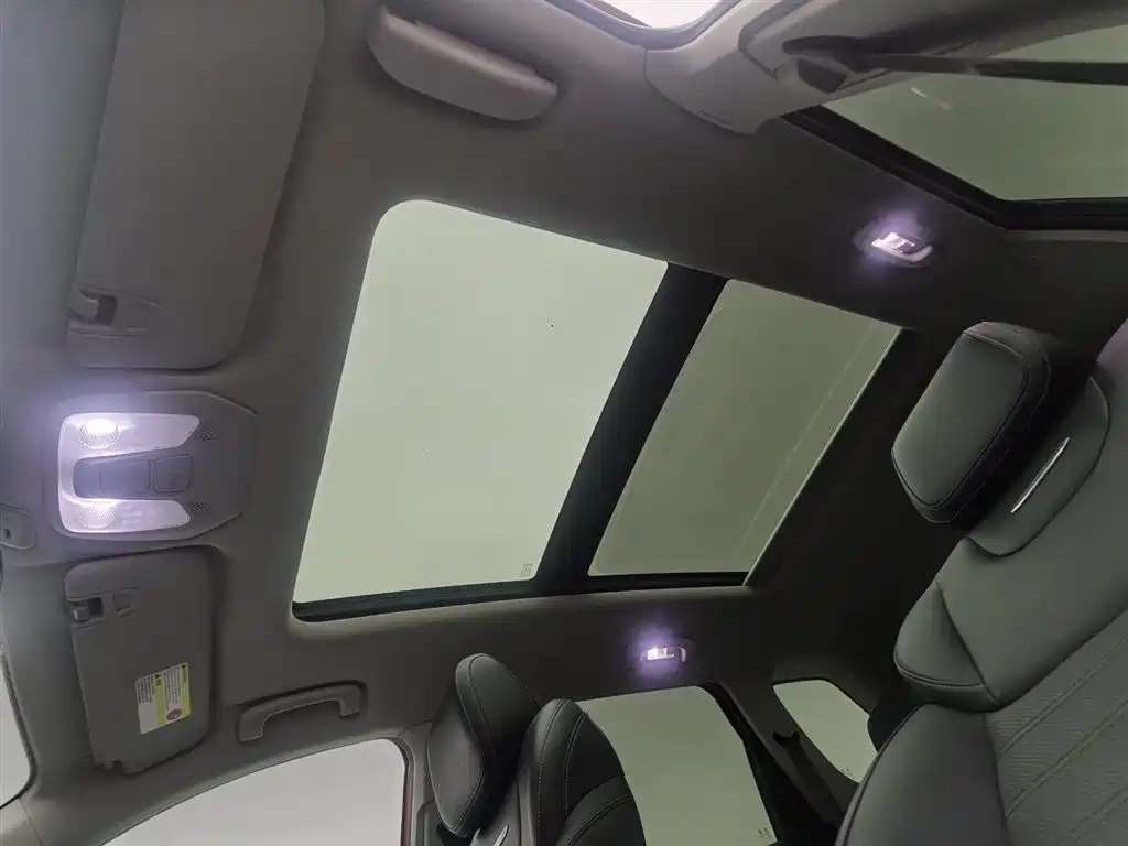 SAIC MAXUS CHASE D60