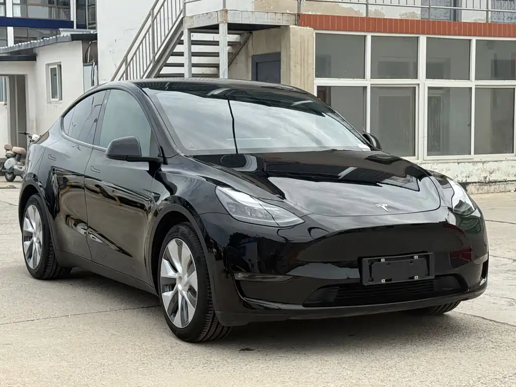 Tesla Model Y — миниатюра 3