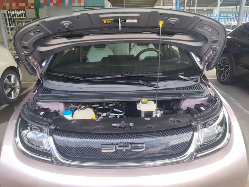 BYD Dolphin — миниатюра 20