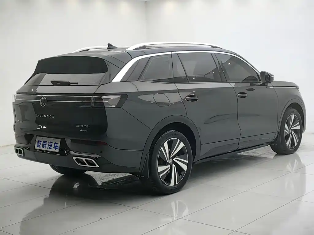Volkswagen Tavendor — миниатюра 6