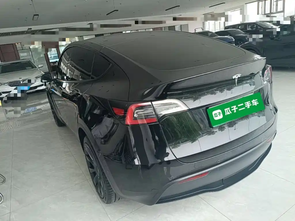 Tesla Model Y — миниатюра 5