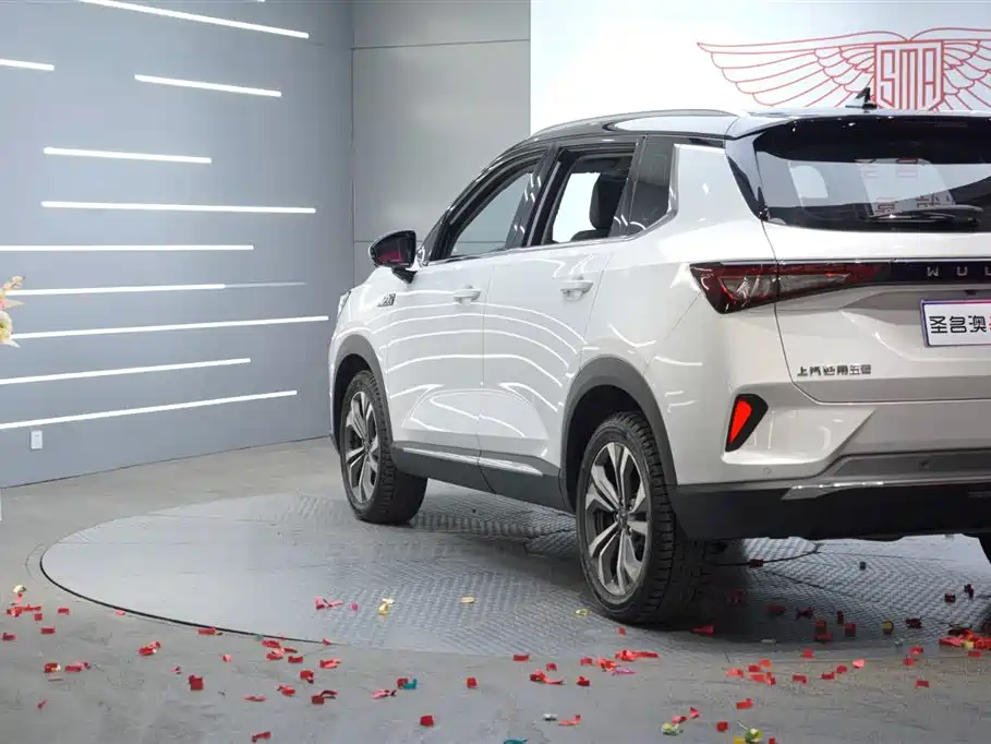 WULING AUTOMOBILE WULING XINGCHEN
