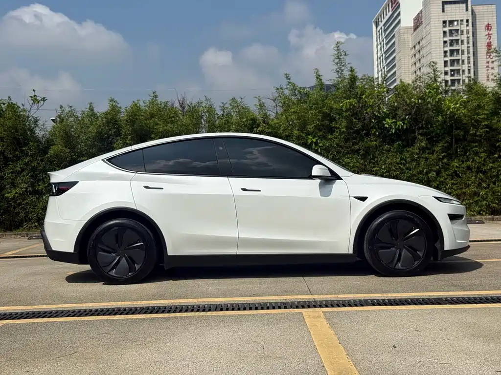 Tesla Model Y — миниатюра 16