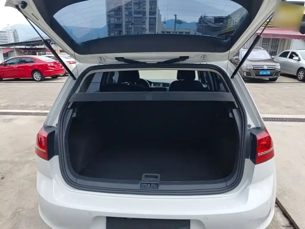 Volkswagen Golf — миниатюра 19