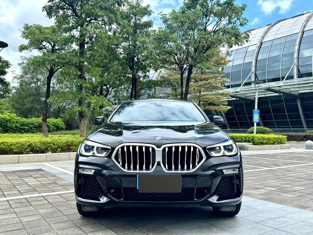 BMW X6 — миниатюра 2