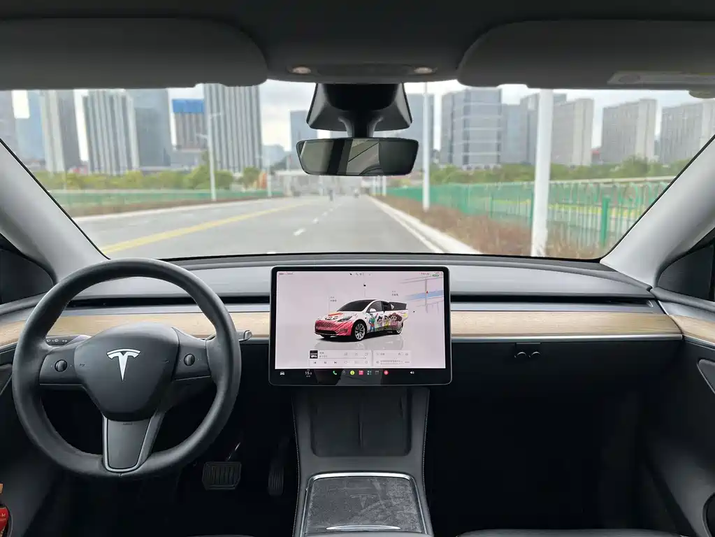 Tesla Model Y — миниатюра 6