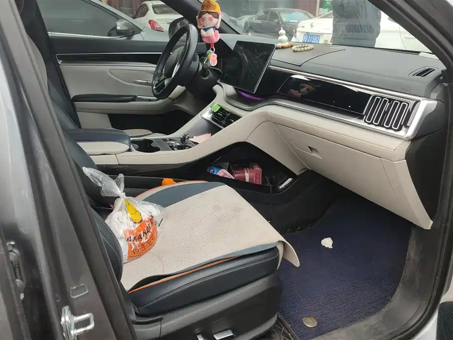 BYD SONGJIANG NEW ENERGY