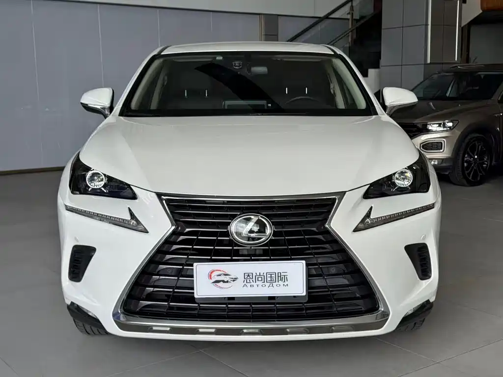 Lexus NX — миниатюра 2