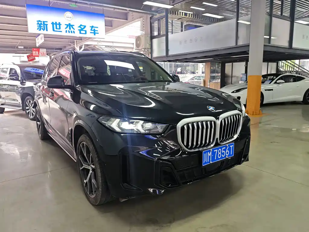 BMW X5 — миниатюра 3