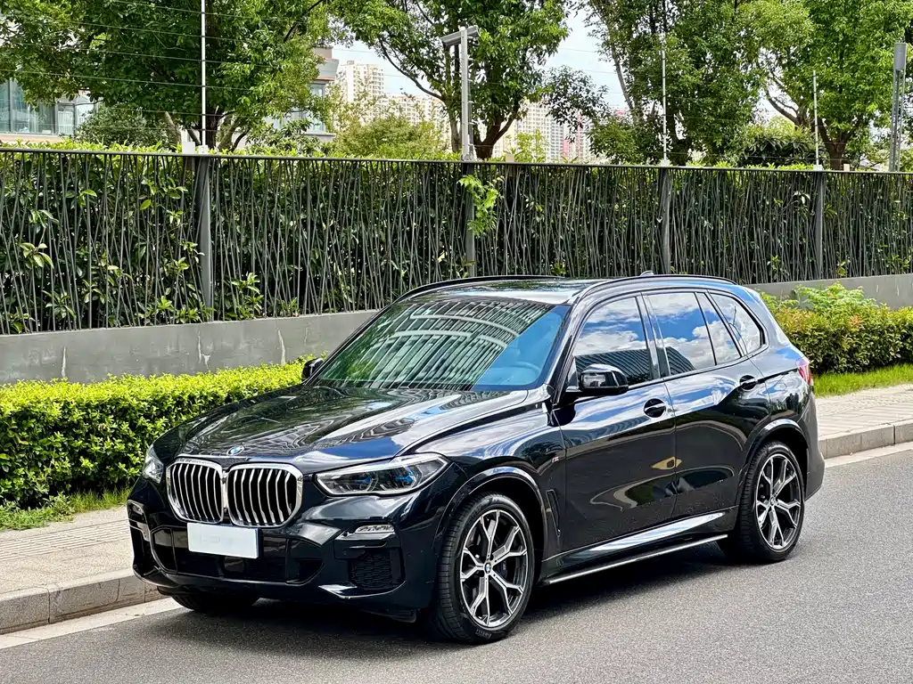 BMW X5 (Import) — миниатюра 3