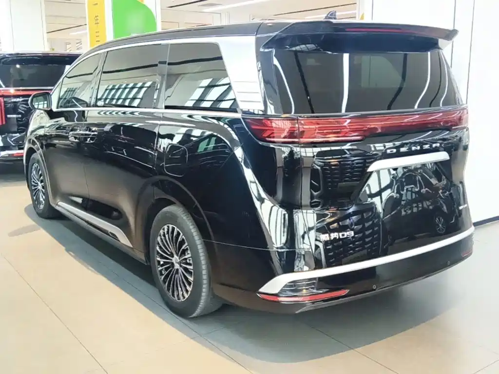 Denza Denza D9 — миниатюра 5