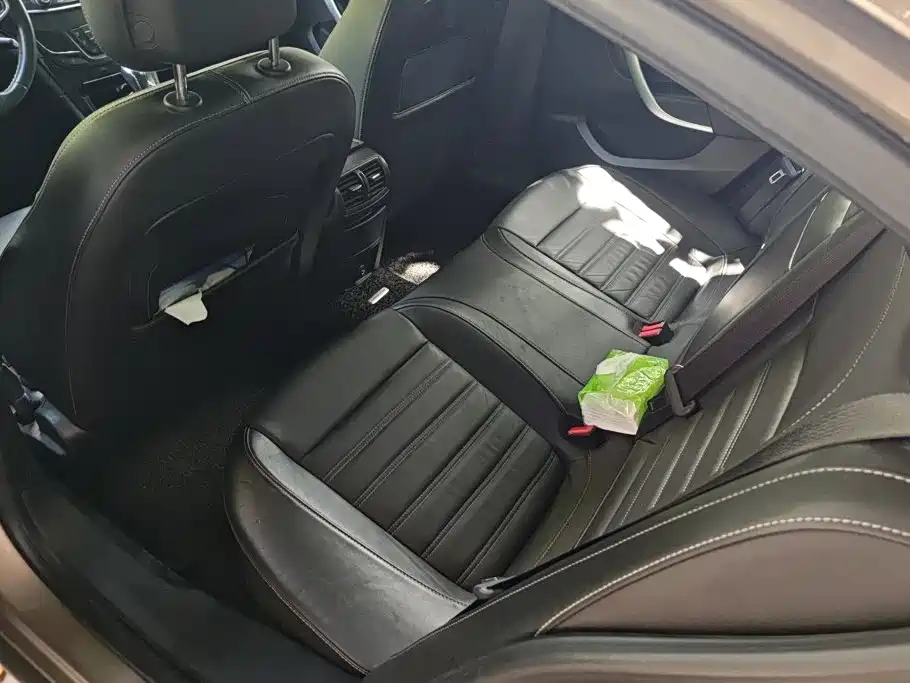 Buick Regal — миниатюра 11
