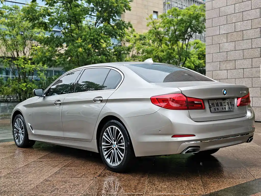 BMW 5 Series 5 2018 530Li Premium Luxury