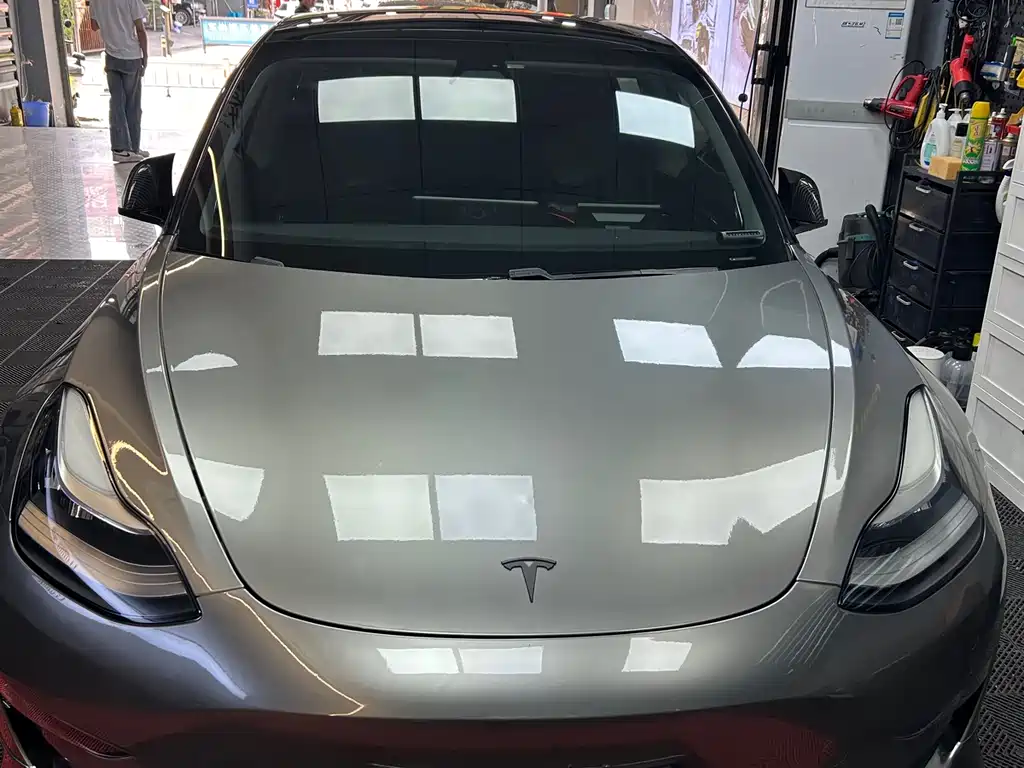 Tesla Model 3 2019