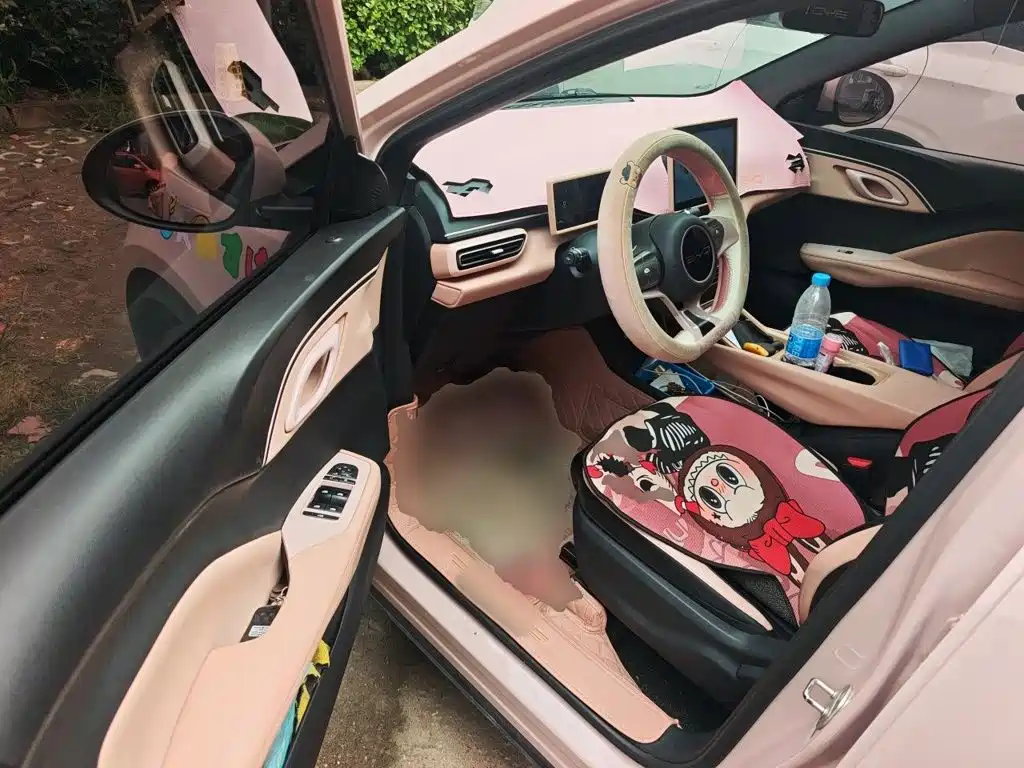 BYD Seagull — миниатюра 12