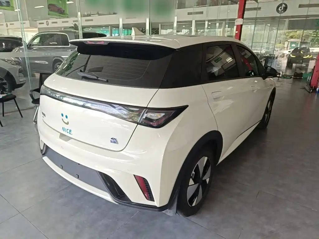 BYD Dolphin — миниатюра 7
