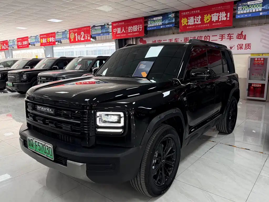 Haval Menglong New Energy 2025