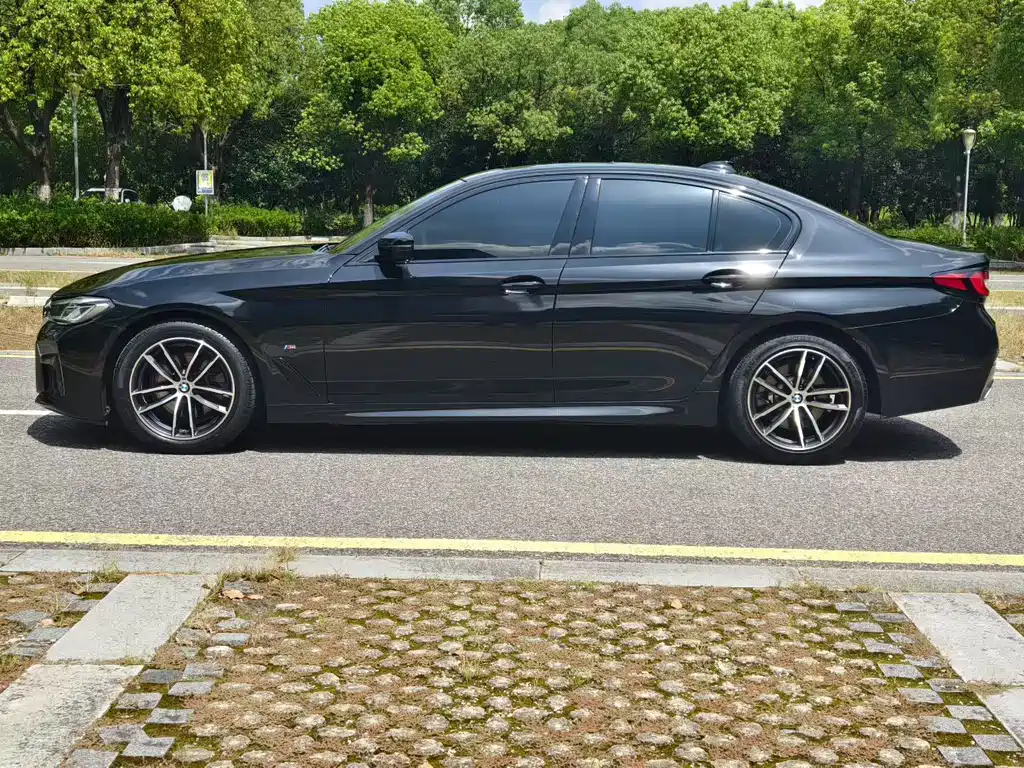 BMW 5 Series (Import) — миниатюра 3